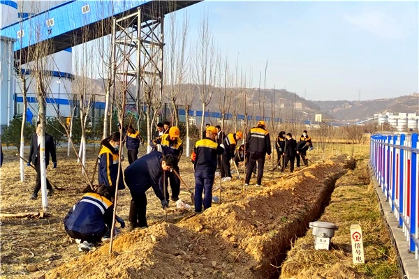 1678431395887796.jpg 義務(wù)植樹(shù).jpg