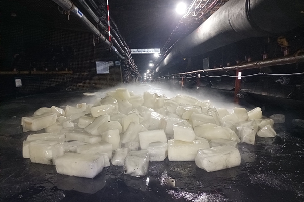 1698217082107600.jpg 配圖1_副本.jpg