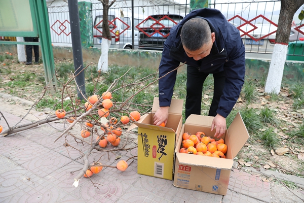 1699608164152697.jpg 7V4A1655_副本.jpg