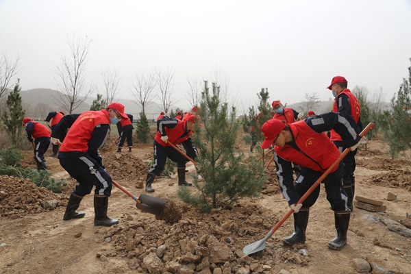 1704441851154738.jpg 義務植樹_副本.jpg