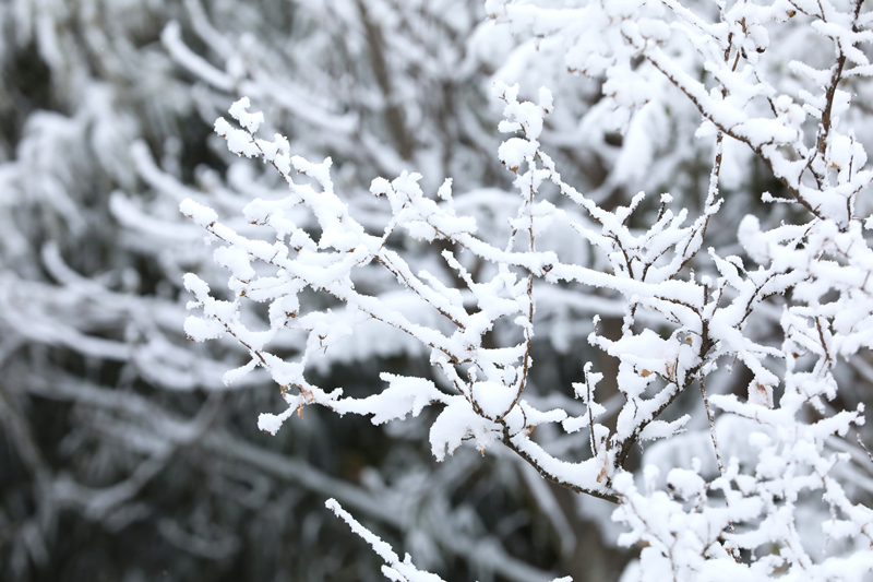 1705823599212233.jpg 3.jpg