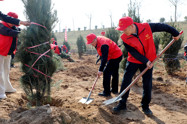 1710396911179624.jpg 1.jpg