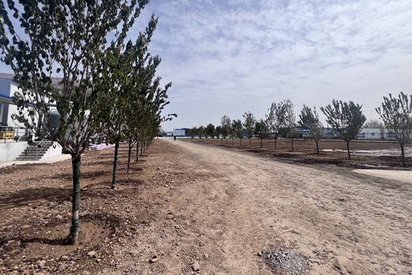 1713238469185761.jpg IMG_6879_副本.jpg