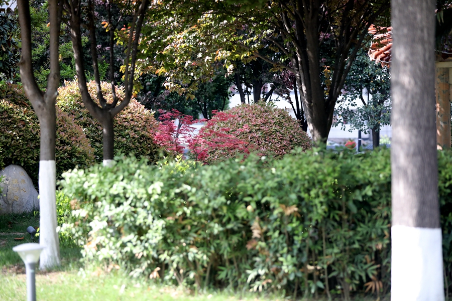 1713412342128430.jpg 微信圖片_20240418105604_副本.jpg