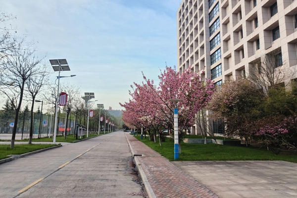 配圖 (1)_副本.jpg