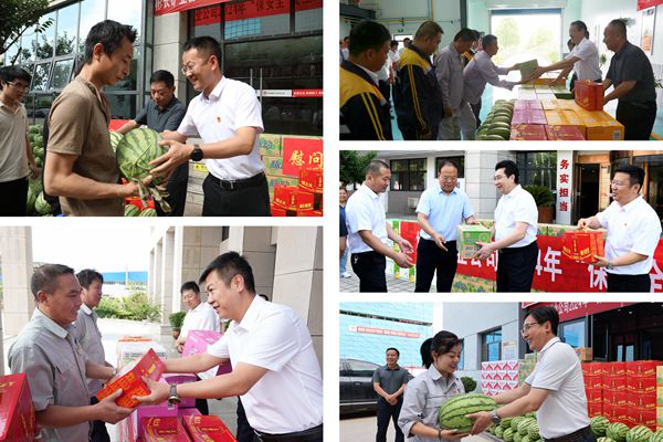 1719569244412711.jpg NeoImage_副本.jpg