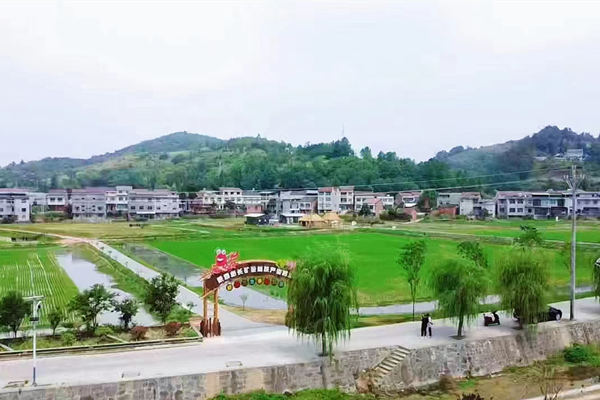 1720340066111416.jpg 4.jpg