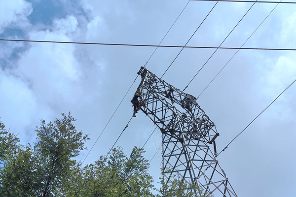 1721289512137985.jpg 4a168439eecd18cec31439632975f6e7_副本.jpg