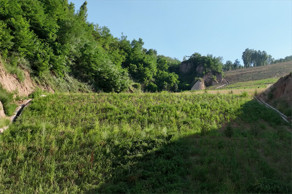 1722847346296383.png 圖三_副本.png