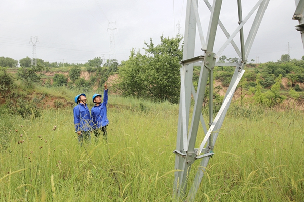 1723191032188476.jpg 線路巡查_(kāi)副本.jpg