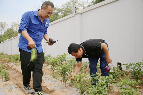 1724038969205084.jpg 采摘果蔬_副本.jpg