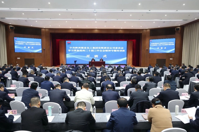 1731987303141534.jpg 11_副本.jpg