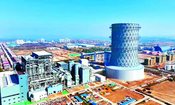 1735519359167366.jpg 222222222222222.jpg