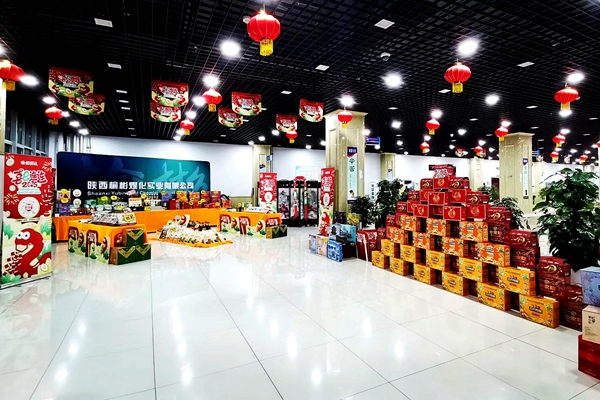 1737096740356708.jpg 配圖_副本.jpg