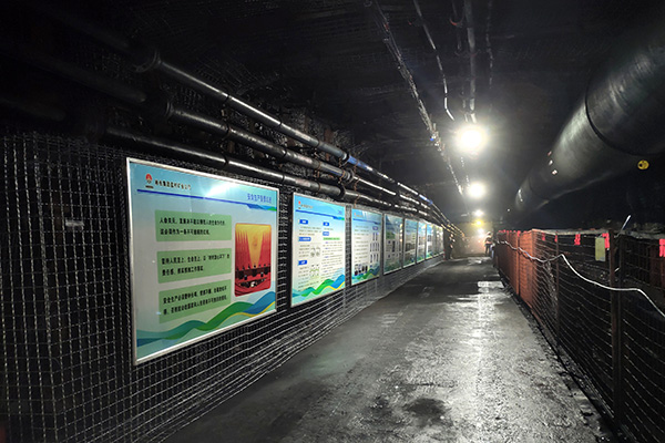 1742783684358321.jpg 配圖4.jpg