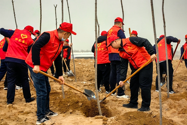 1743328393153563.jpg 第三段配圖_副本.jpg