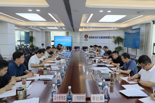 1749203056186480.jpg 6月6日 13次中心組學習_副本.jpg