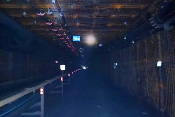 1750326507160285.jpg 11_副本.jpg