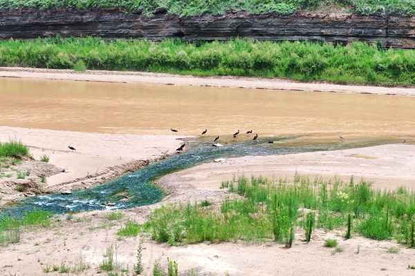 1752030910838589.jpg 配圖1_副本.jpg