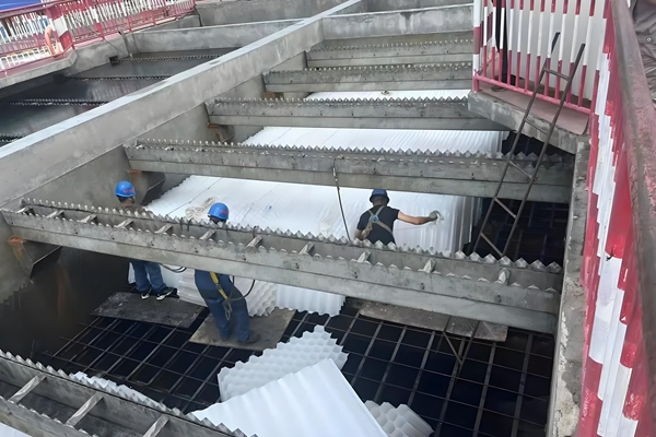 1755922546112437.jpg 2_副本.jpg