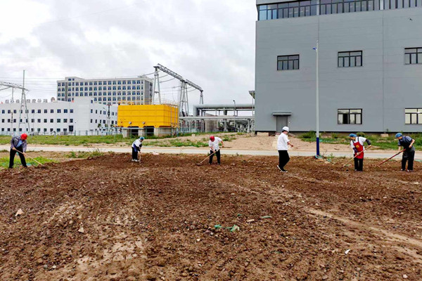 1756269271342229.jpg 1.jpg