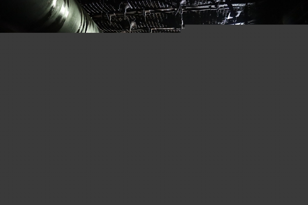 1758683242158402.jpg 圖二_副本.jpg