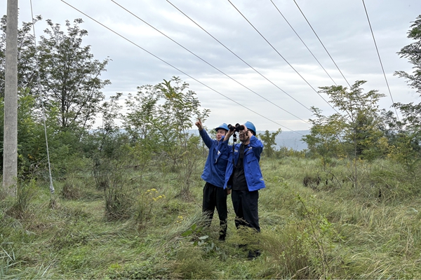 1759027425756759.jpg 3.線路專項(xiàng)巡查_副本.jpg