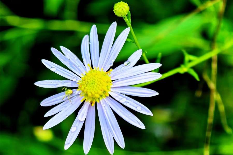 1760168891457673.jpg IMG_20251001_122519_edit_266823007827059_副本.jpg