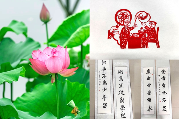 1763629137117042.jpg 照片2_副本_副本.jpg