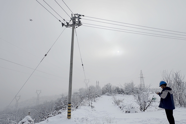 1767493952144492.jpg IMG_4017_副本.jpg