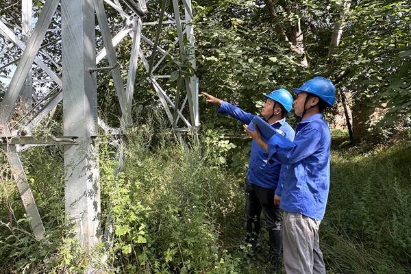 1768356248109199.jpg 5.黨員安全巡檢_副本.jpg