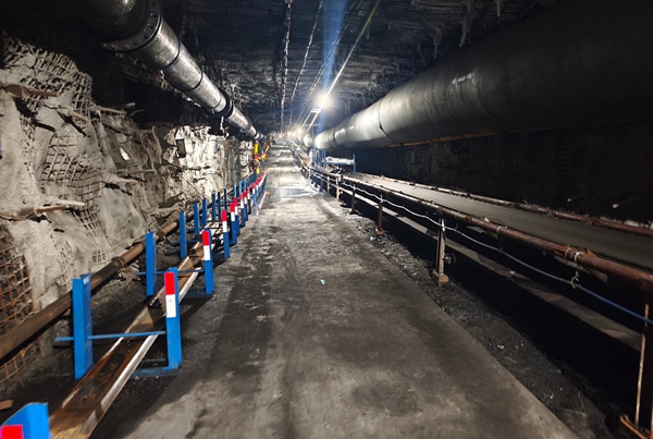 1768965954123543.jpg 圖1_副本.jpg