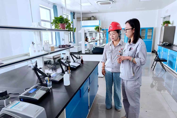 1769997498411999.jpg 2_副本.jpg