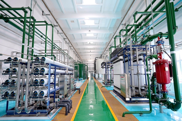 1770176920275635.jpg 3_副本.jpg