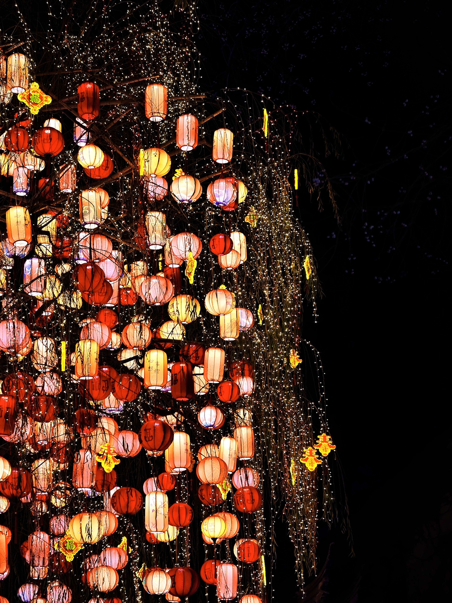 1771743431104732.jpg 圖3.jpg